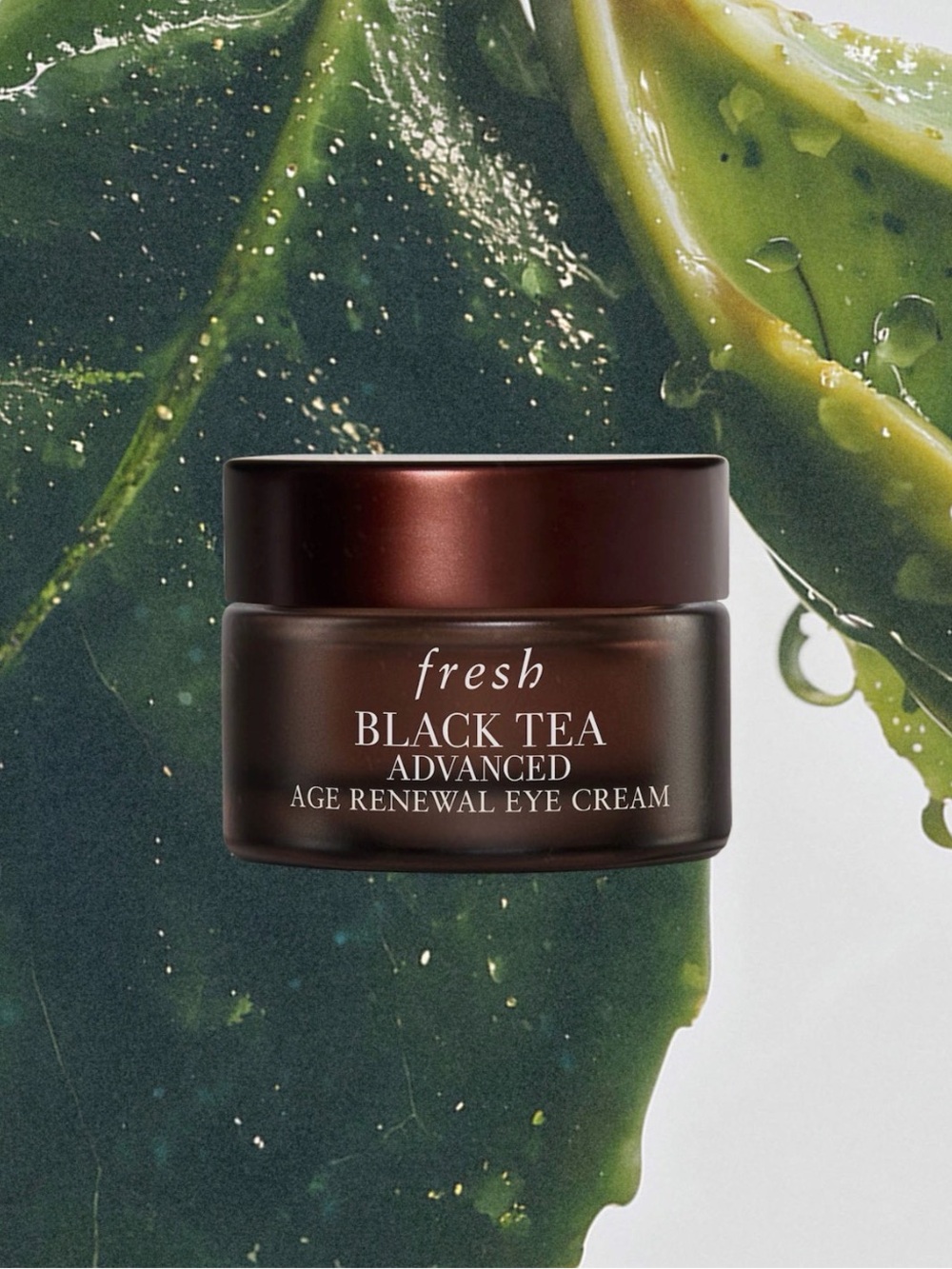 fresh Black Tea Advanced Age Renewal Eye Cream - Brown Jar